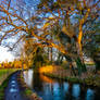 River Windrush, Cotswolds 1