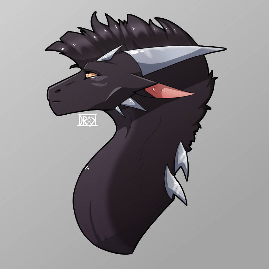 Gift Valor by Draakunpng on DeviantArt