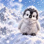 Cute baby penguin