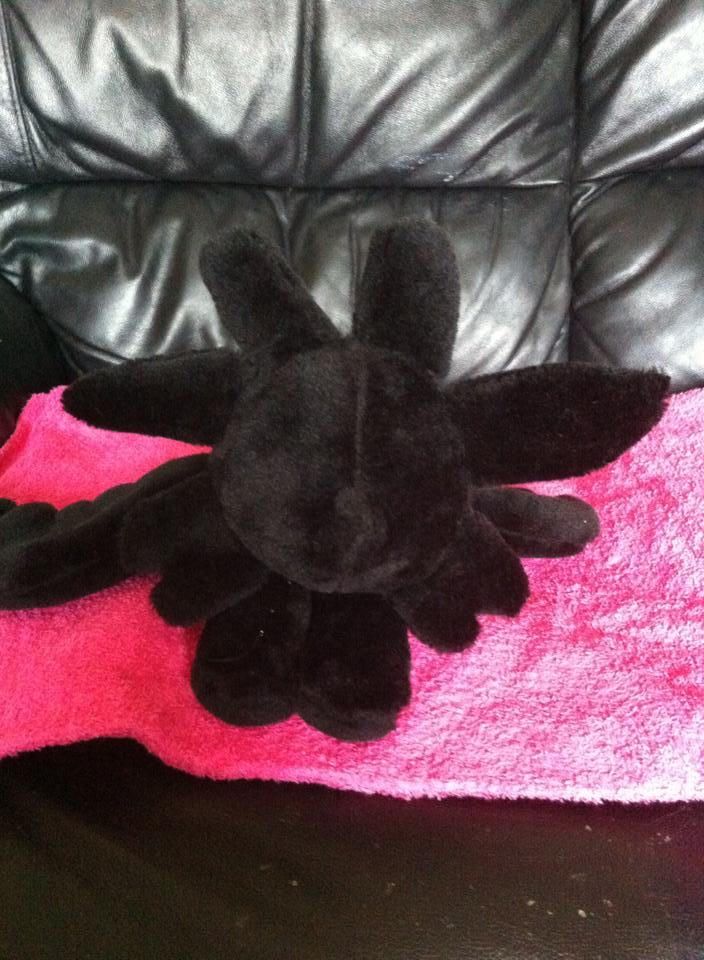 Toothless Front by shelbywolfeater on DeviantArt