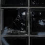 Black glass II
