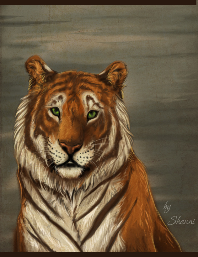 tiger