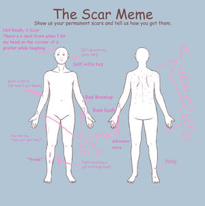 The Scar Meme