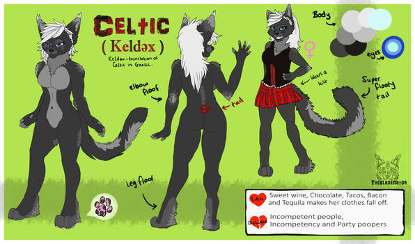 Commission: Reference sheet - Celtic.