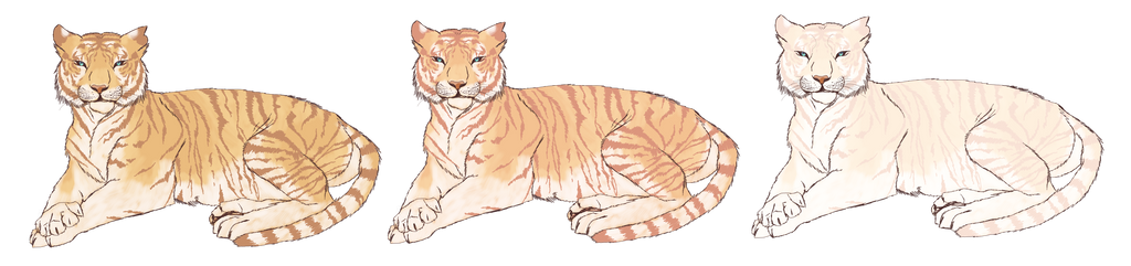 Tiger Color Variations by Starstream18 on DeviantArt