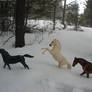 a breyer winter