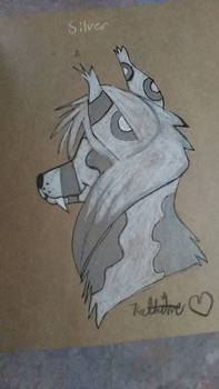 Silver jackal (3/4ths- back of the head)