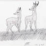 Faline and Bambi