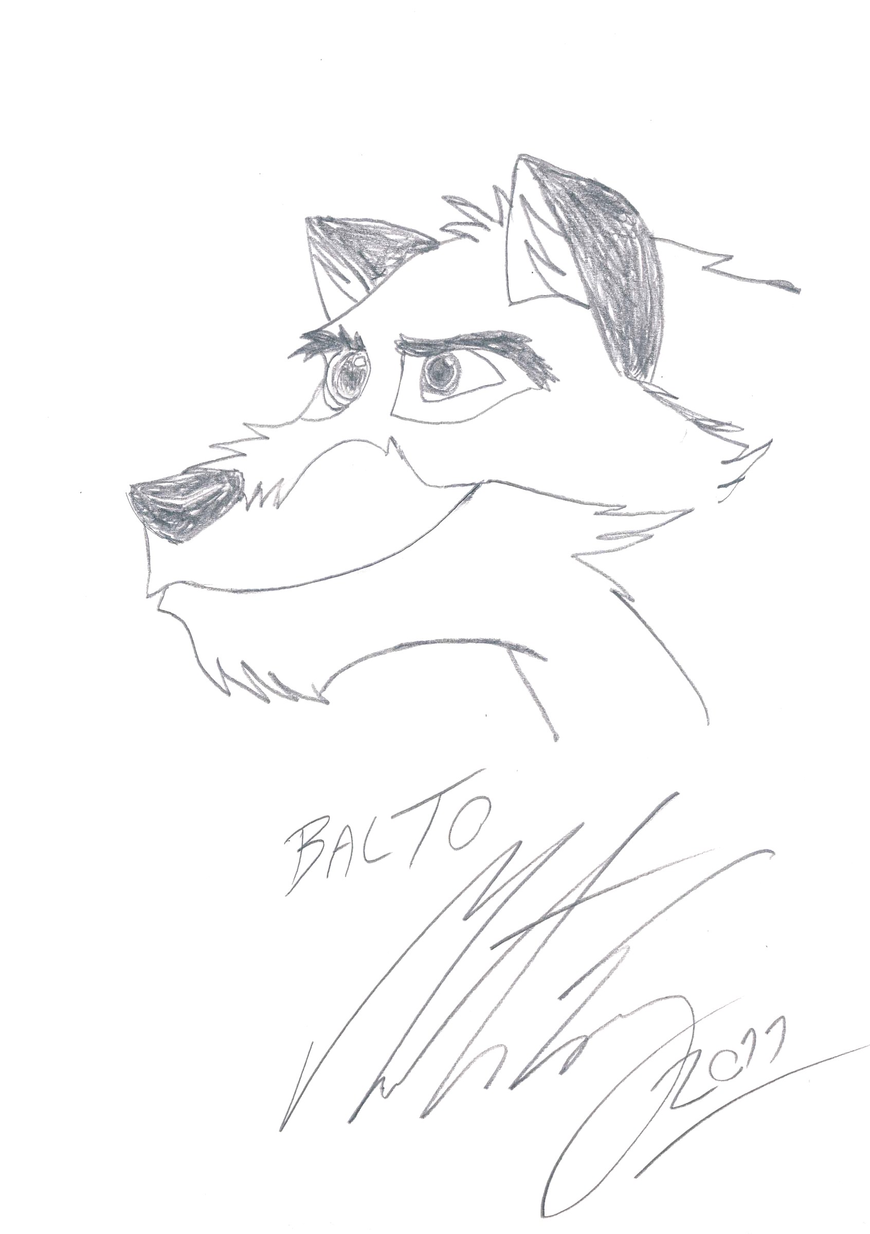 Balto - the good boy