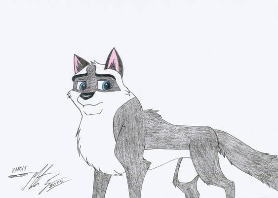 Kitara the wolfhound - Bandit. 2