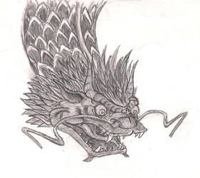 day .16 Chinese dragon