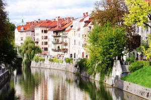 Ljubljanica river