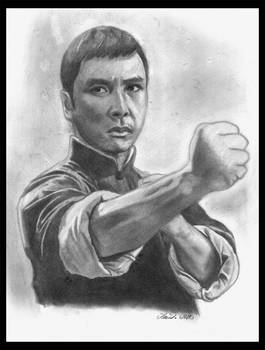 Donnie Yen as Ip man