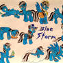 Blue Storm