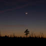 January Moonset