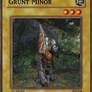 Grunt Minor