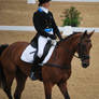 Dressage 25