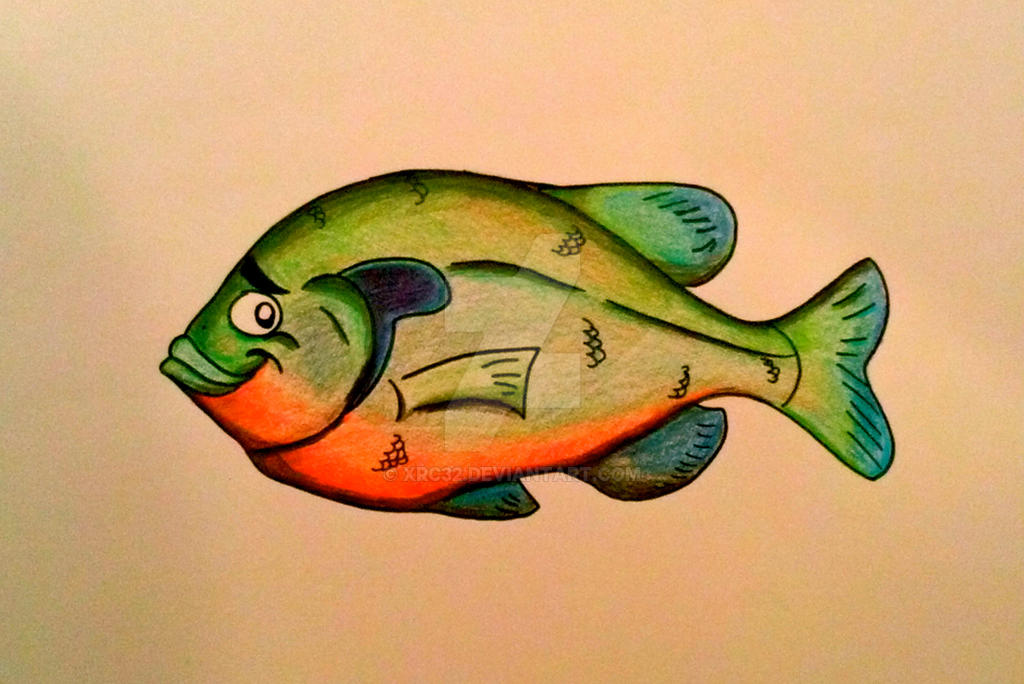 Sunfish Design Sunfish by xrc32 on DeviantArt