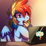 Dashie Does NOT approve