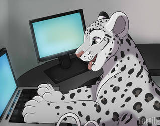 Professional Snep