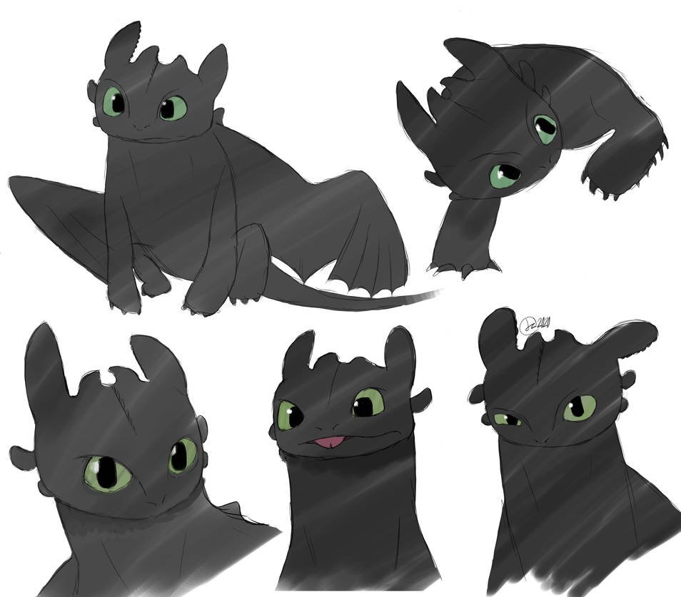 Toothless Sketch sheet by Jadezacc on DeviantArt
