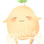 Mandora