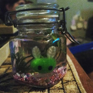 Sea bunny in a jar 