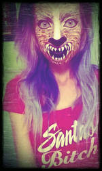 Wolf facepaint.