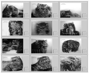 cat drawing calendar final
