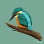 Eurasian kingfisher