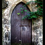 Old Door Leiria Castle II