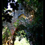 Abandoned Chapel