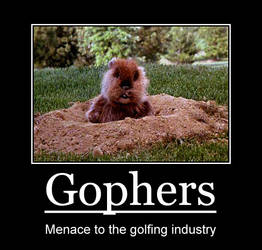 Gopher motivational poster