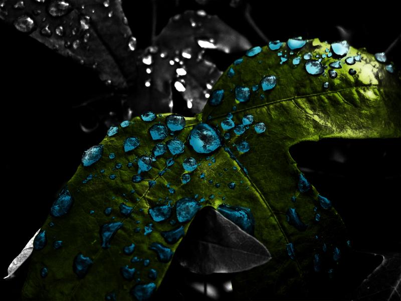 Raindrops: Colored