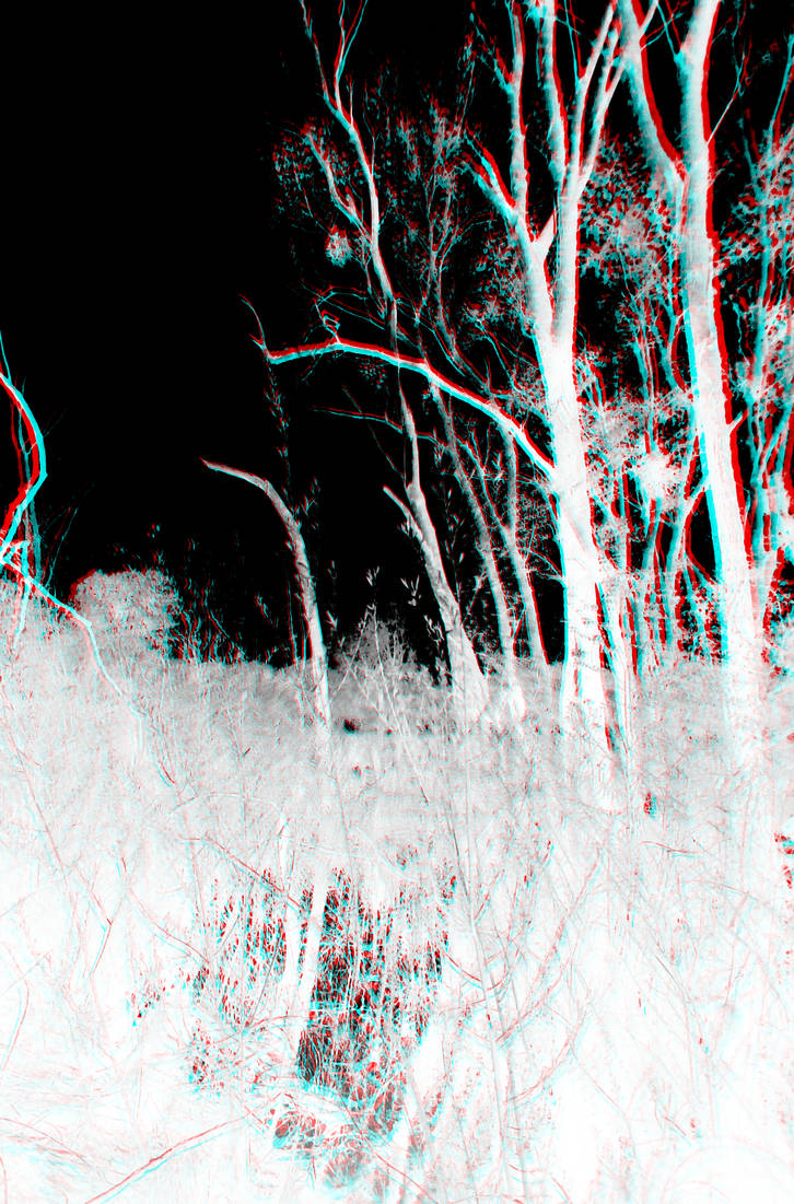 Inverted Trees by theworst24 on DeviantArt