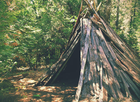 Wooden Tipi