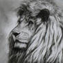 ...lion