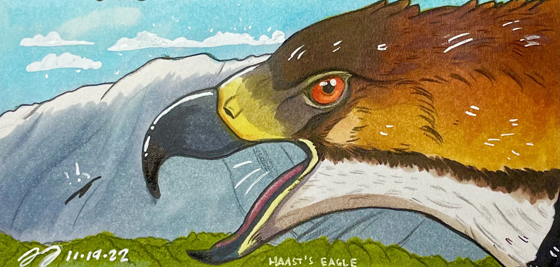Haasts Eagle By Astrapionte On DeviantArt haasts-eagle-by-astrapionte-on-deviantart