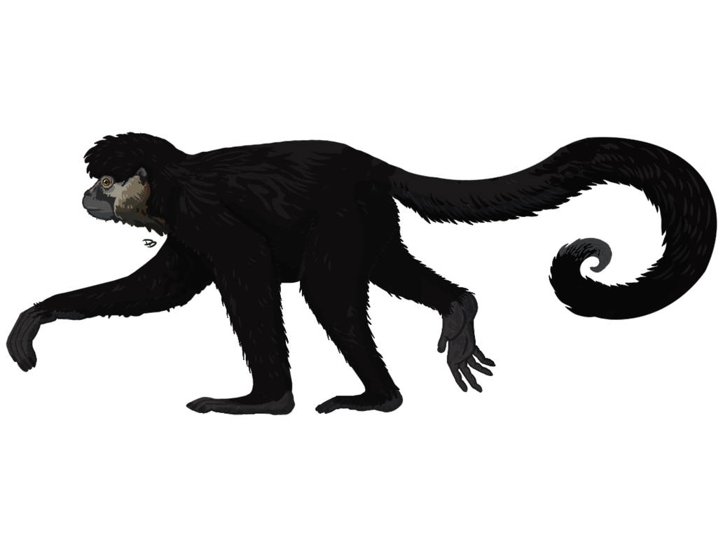 Caipora Inseto Caipora bambuiorum by Astrapionte on DeviantArt