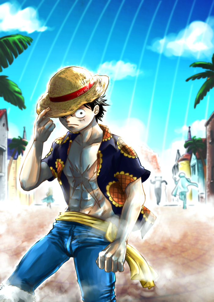 Commission Art - Luffy in Dressrosa