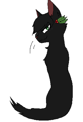 Hollyleaf