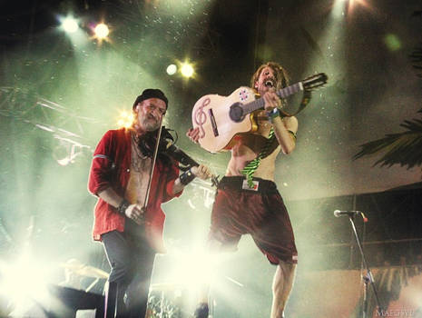 Gogol Bordello