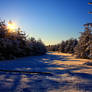 Snowy Road