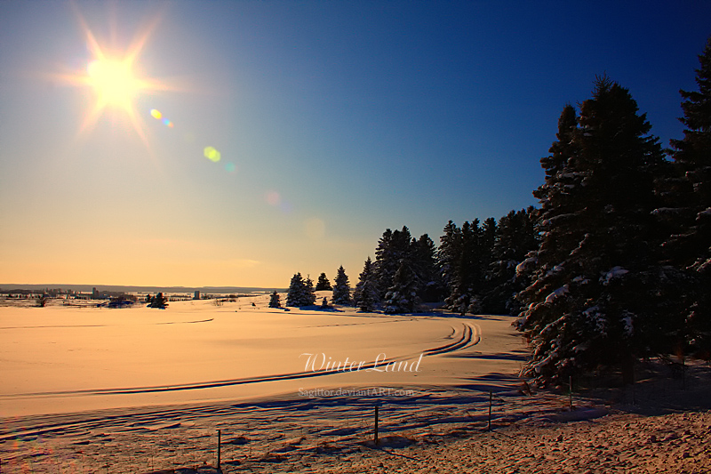 Winter Land