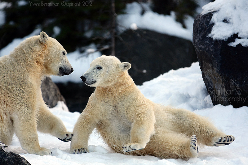 Playing Together