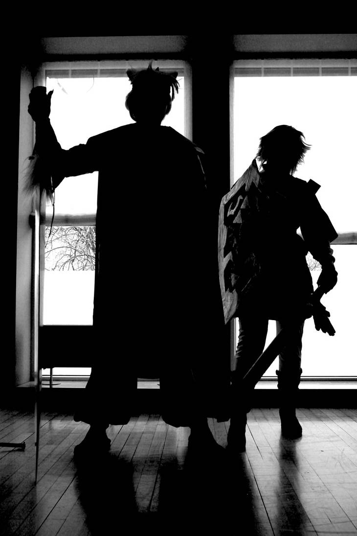 shadow link and inuruto by Sandylein on DeviantArt