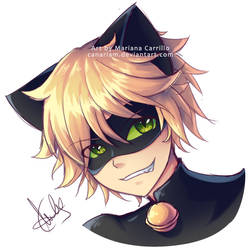 Chat Noir (experiment)