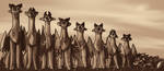 Final_SkyWing_Family_4.png