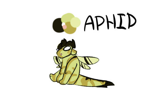 Aphid