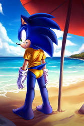 Sonic Beach